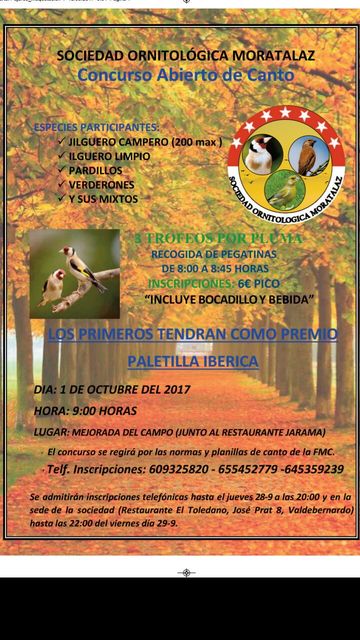 Carteleria del Concurso de canto 1 Octubre S.O. Moratalaz