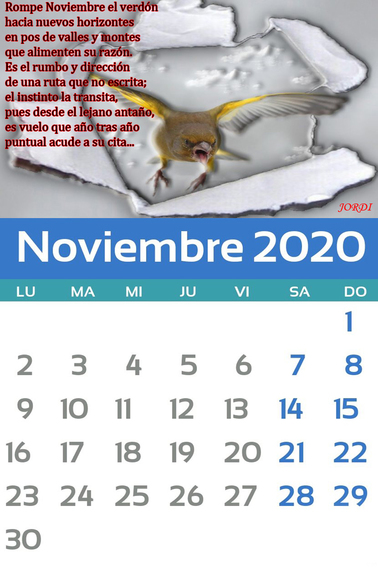 Noviembre.jpg