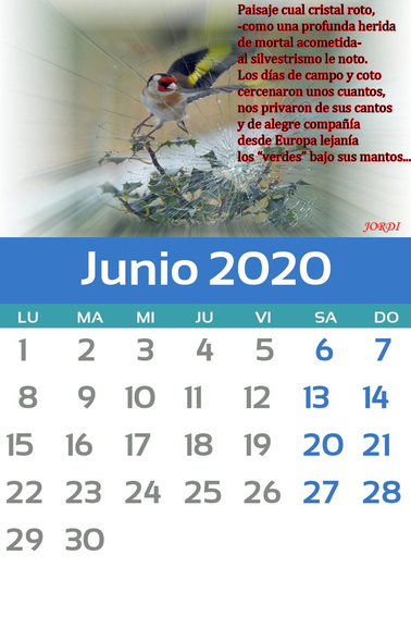 Junio.jpg