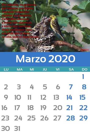 Marzo.jpg