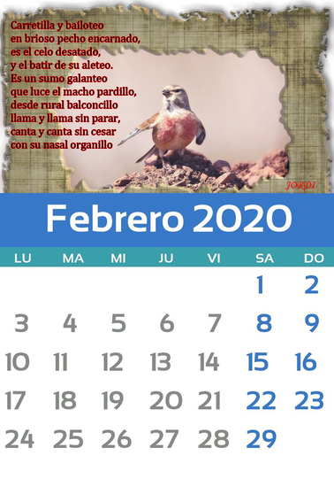 Febrero.jpg