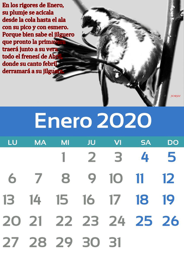 Enero.jpg