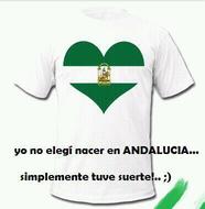 CAMISETA DE ANDALUCIA.jpg