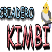 Avatar de Usuario