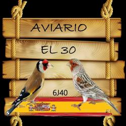 Avatar de Usuario