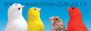 Avatar de Usuario