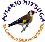 Avatar de Usuario