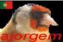 Avatar de Usuario