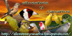 Avatar de Usuario