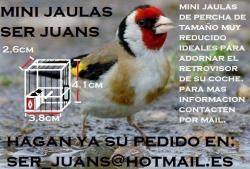 Avatar de Usuario