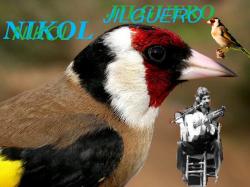 Avatar de Usuario