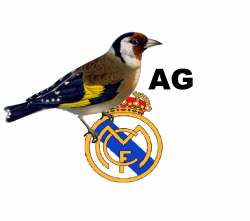 Avatar de Usuario