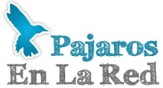 Avatar de Usuario