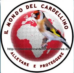 Avatar de Usuario