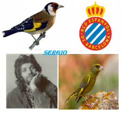 Avatar de Usuario