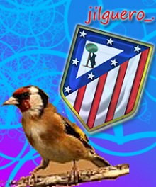 Avatar de Usuario