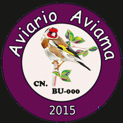 Avatar de Usuario