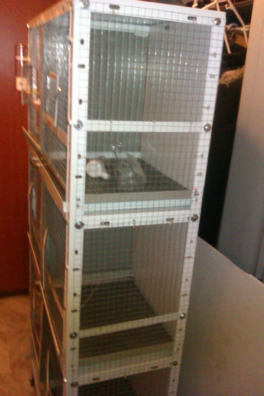 IMAG0109.jpg