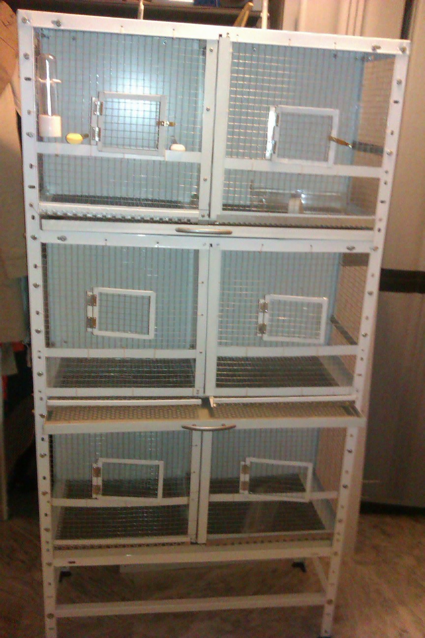 IMAG0108.jpg