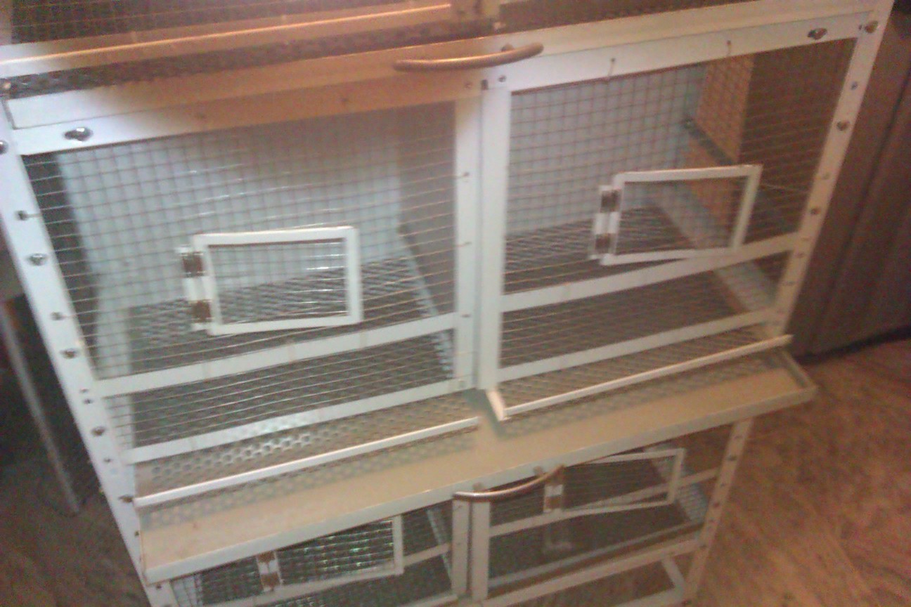 IMAG0107.jpg