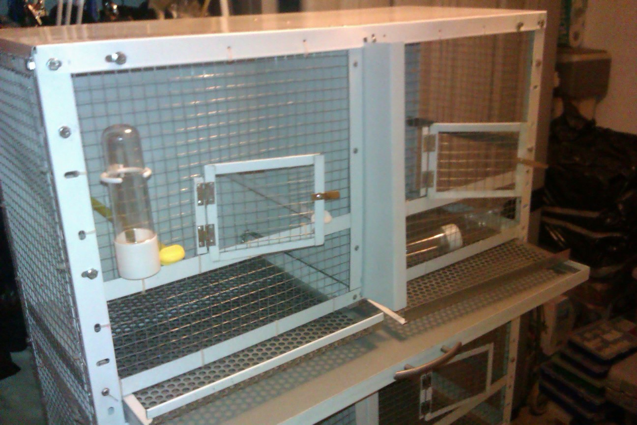 IMAG0106.jpg