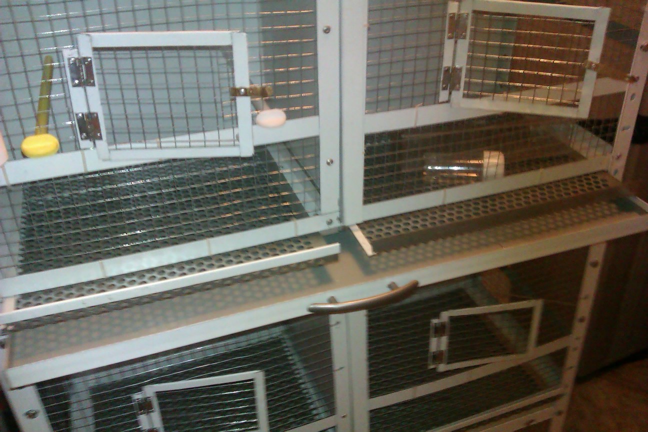 IMAG0105.jpg