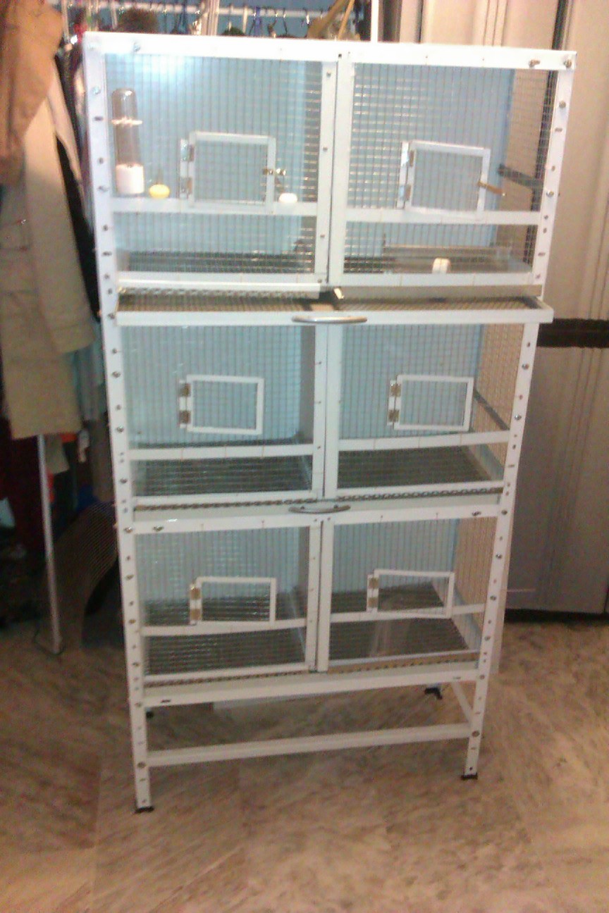 IMAG0104.jpg