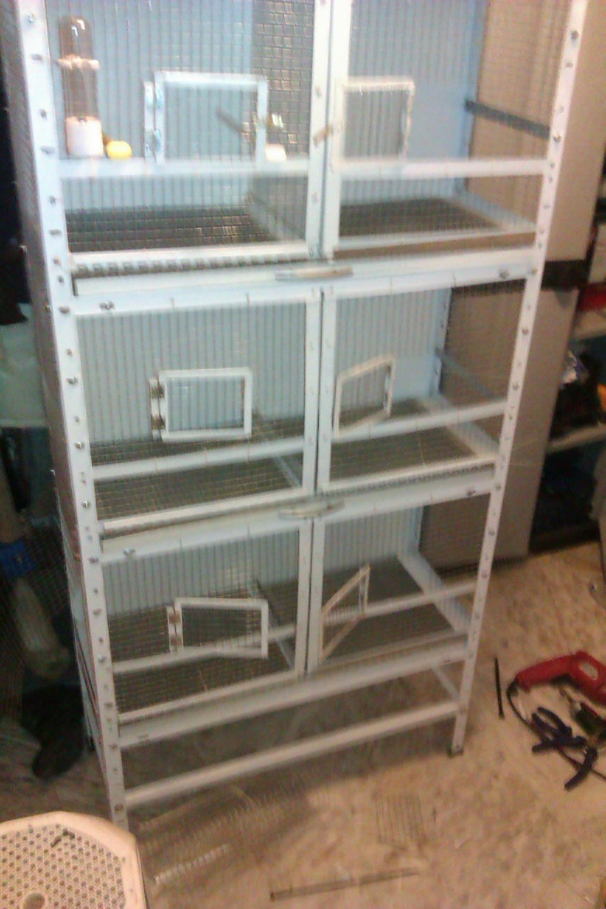 IMAG0103.jpg