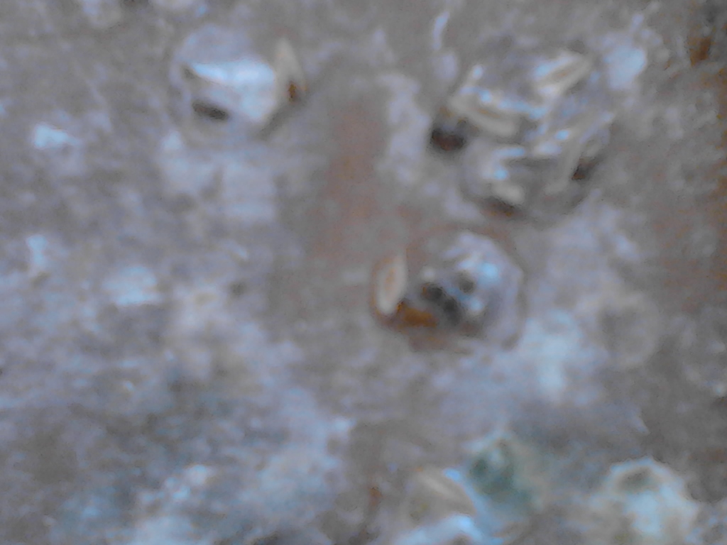 IMG_20130209_132823.jpg