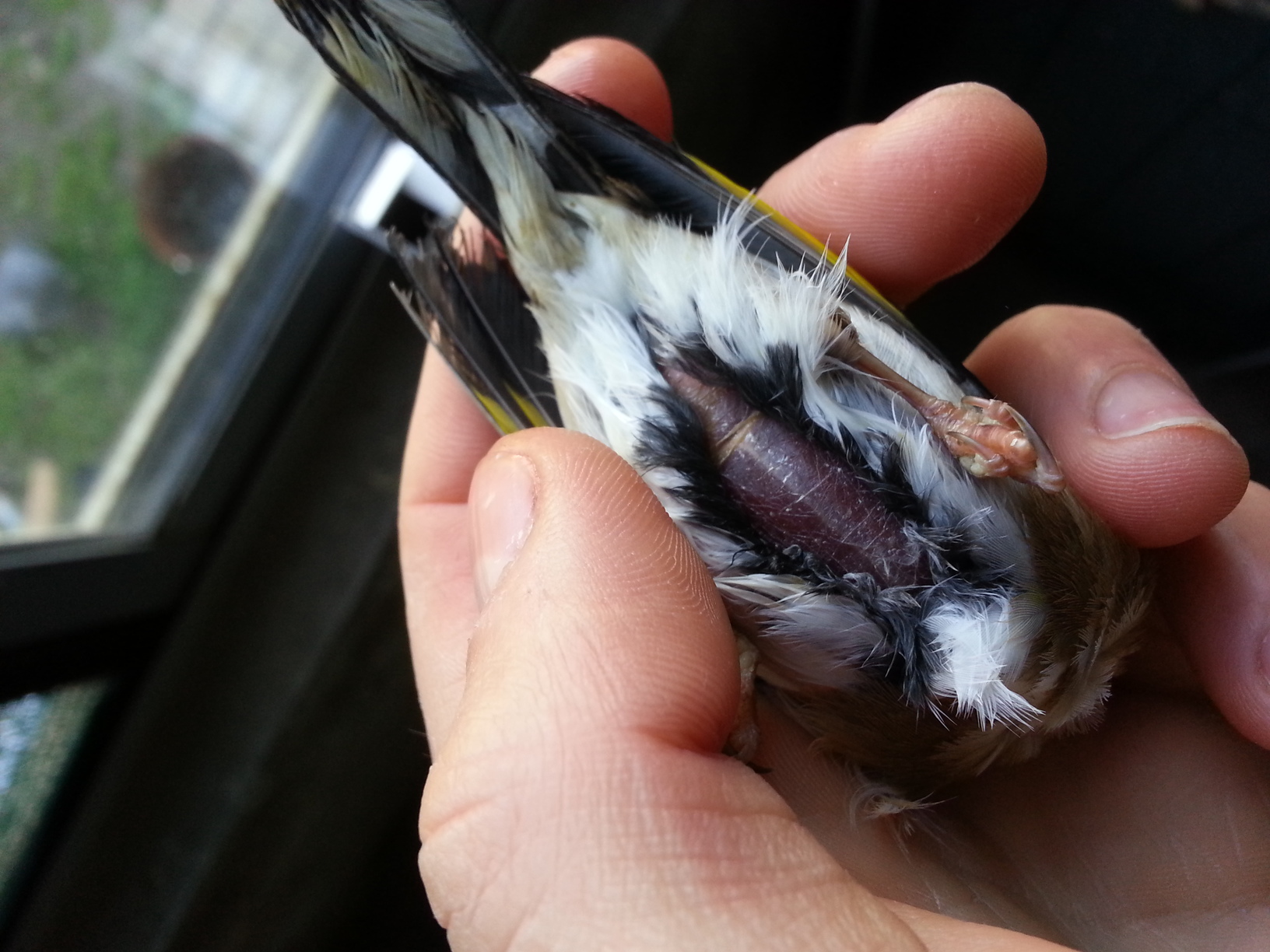 20130209_105231.jpg