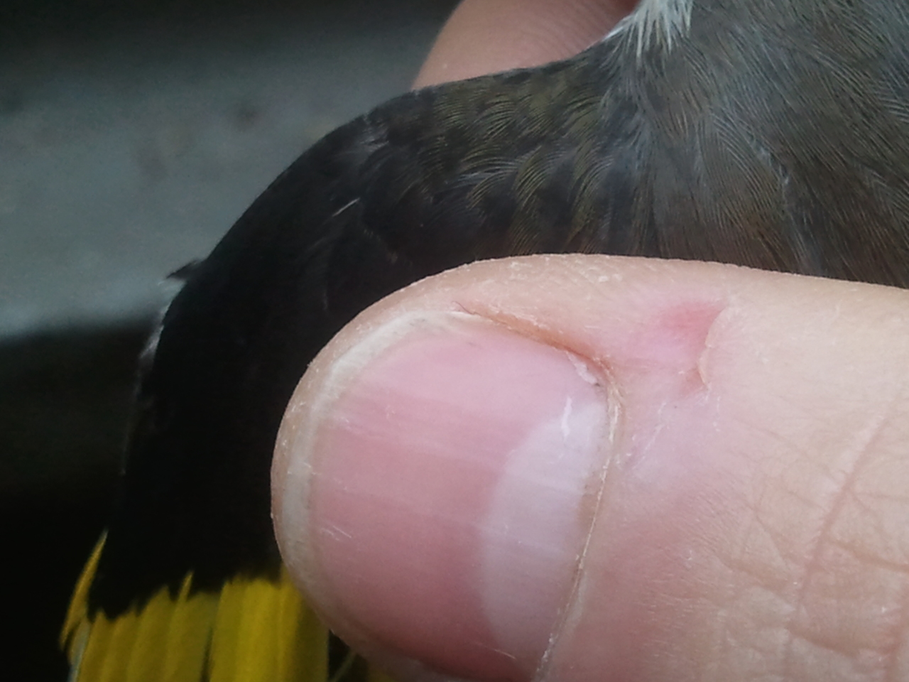 2012-12-15 12.04.15.jpg