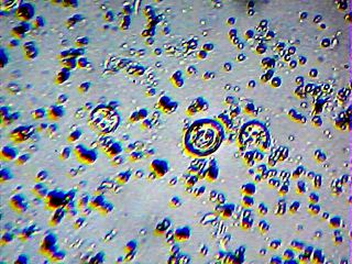 2013_02_09_18_03_54_593.jpg