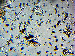 2013_02_09_17_33_07_917.jpg