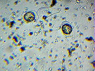 2013_02_10_14_49_39_56.jpg