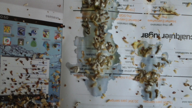 20130211_134017.jpg