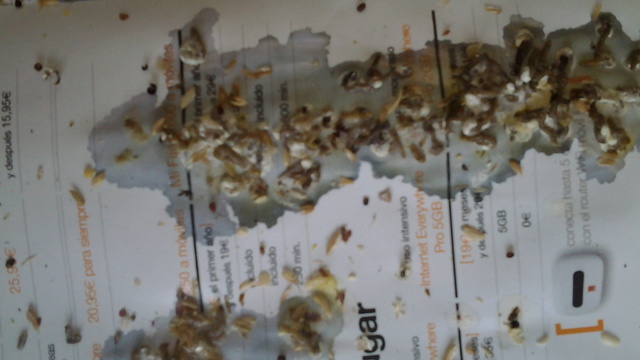20130211_134024.jpg