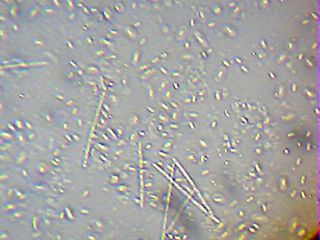 2013_02_11_20_45_45_377.jpg