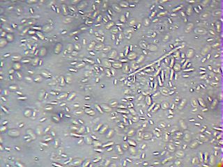 2013_02_11_20_42_39_923.jpg
