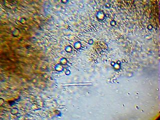 2013_02_11_19_33_40_296.jpg