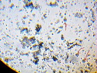 2013_02_12_20_02_35_270.jpg