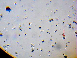 2013_02_12_20_29_25_101.jpg