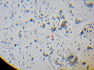 2013_02_12_19_44_38_848.jpg