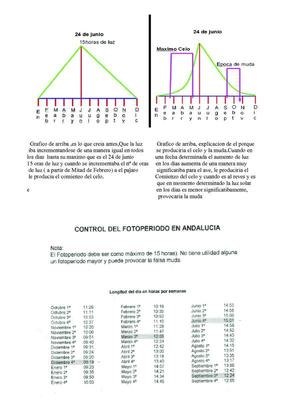 graficodelceloymuda222.jpg