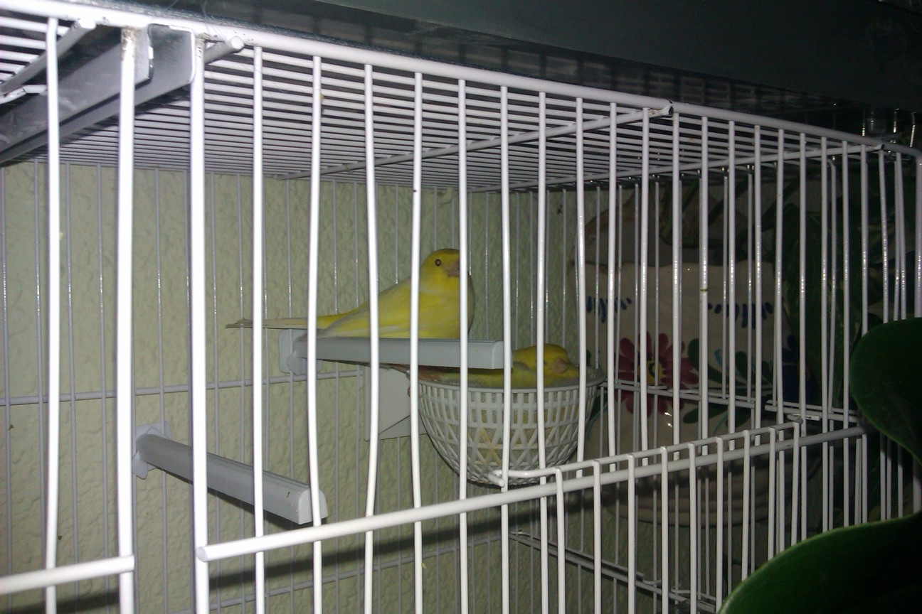 IMAG0127.jpg