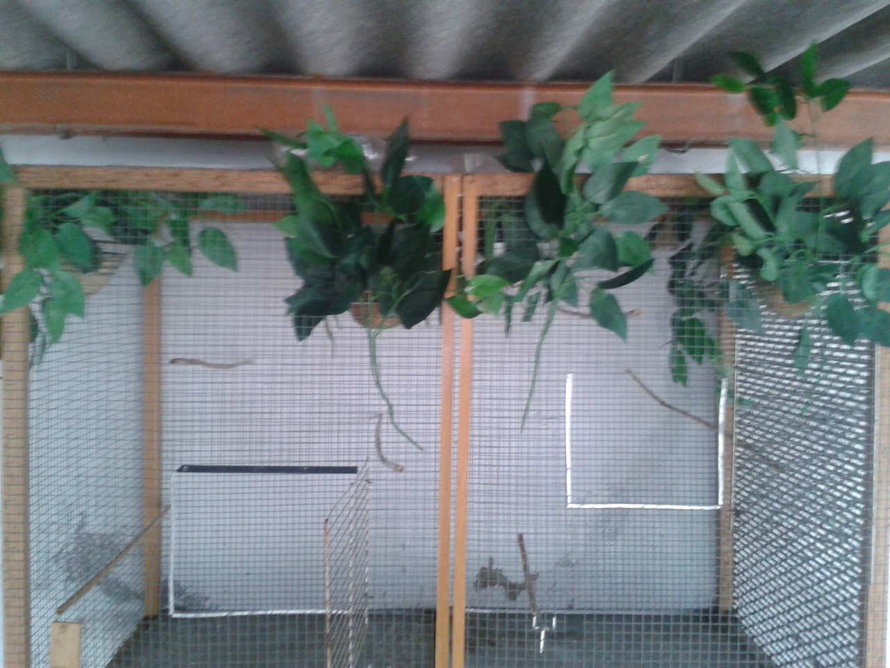2013-01-18 11.52.36.jpg