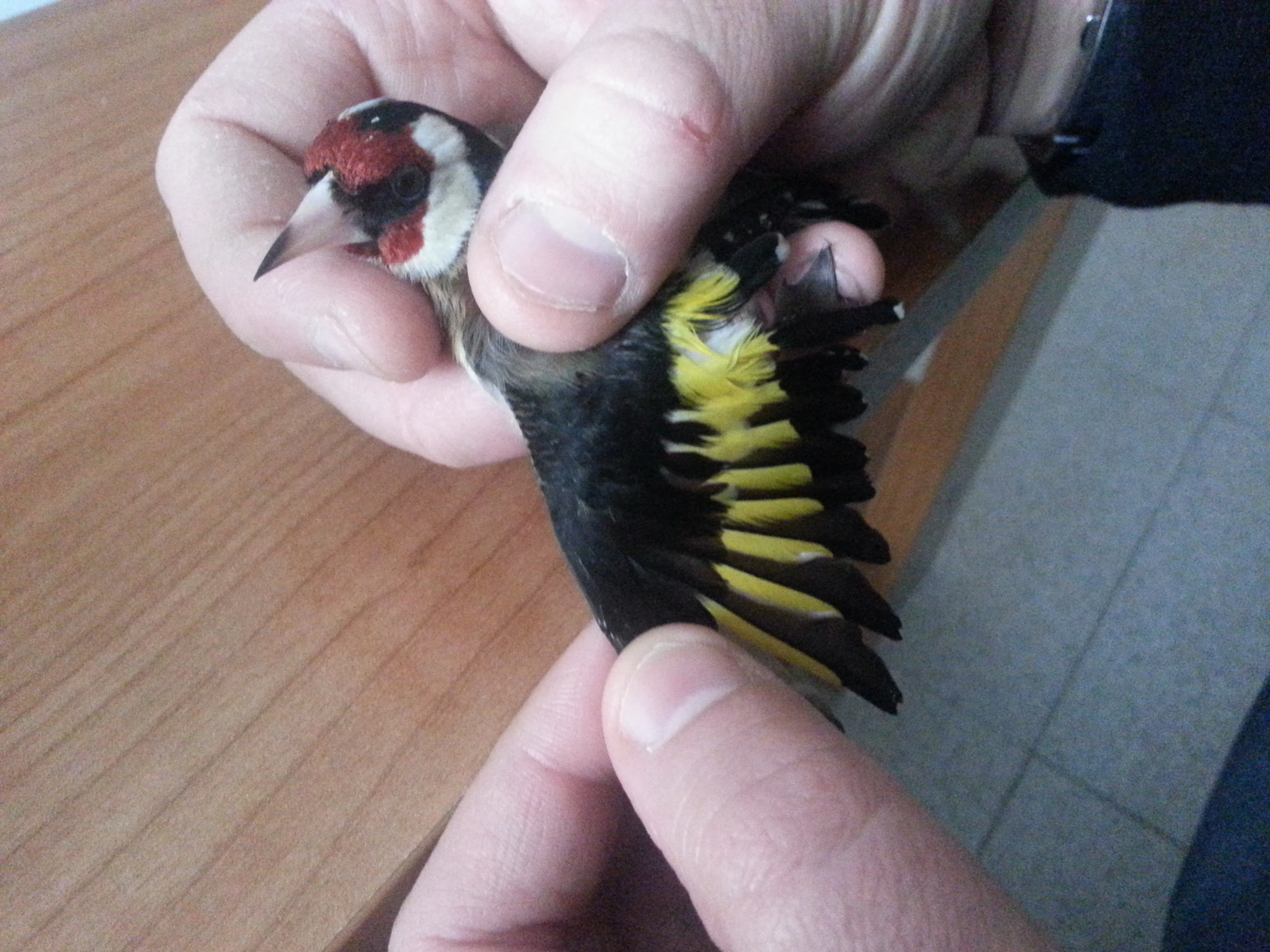 20130218_151704.jpg