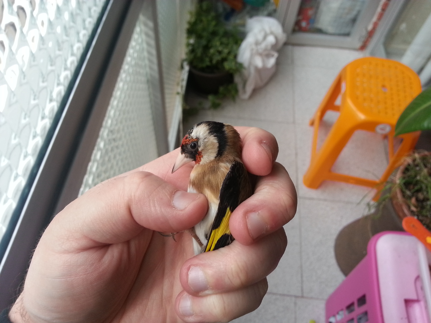 20130218_173531.jpg