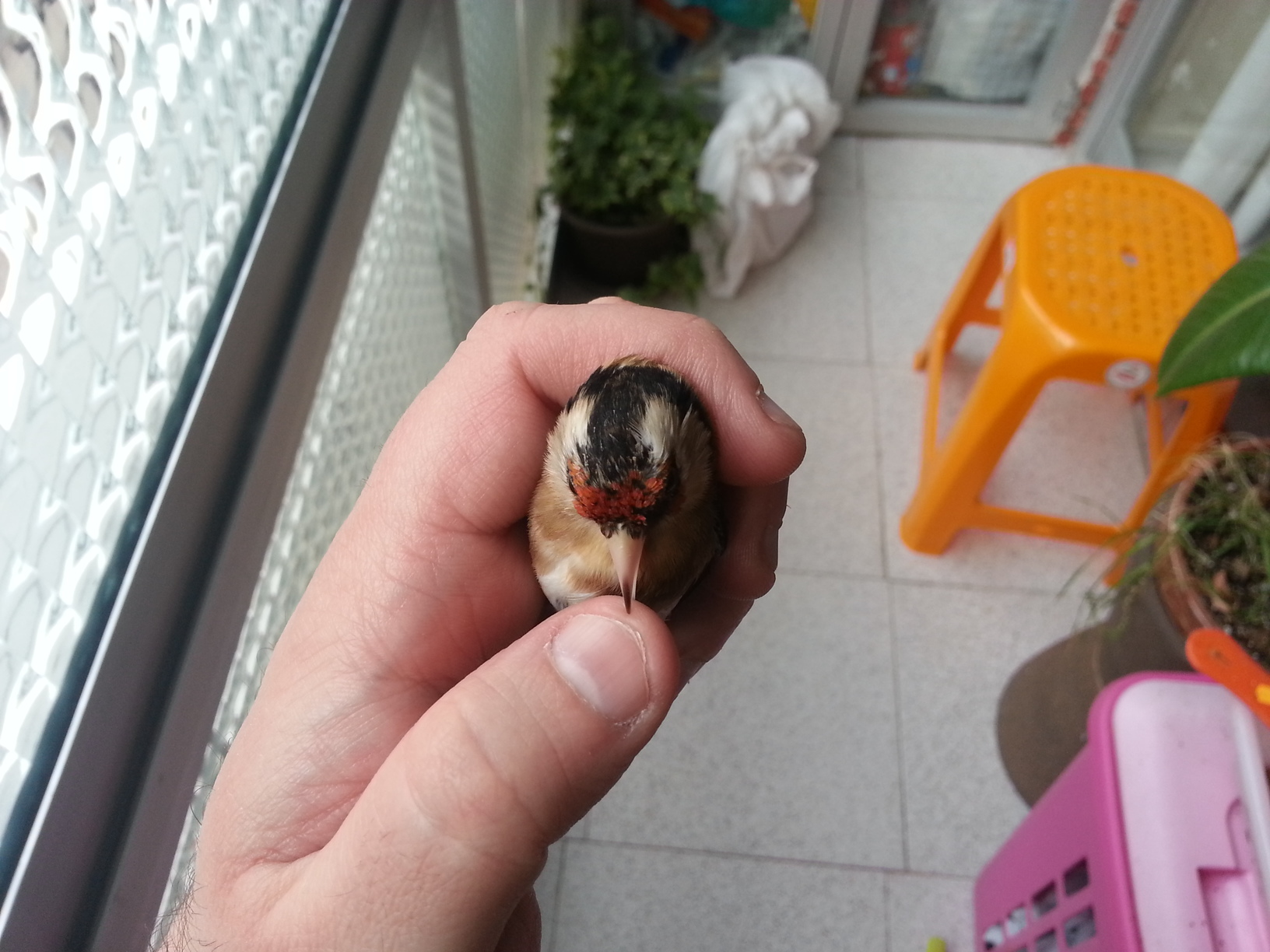 20130218_173537.jpg