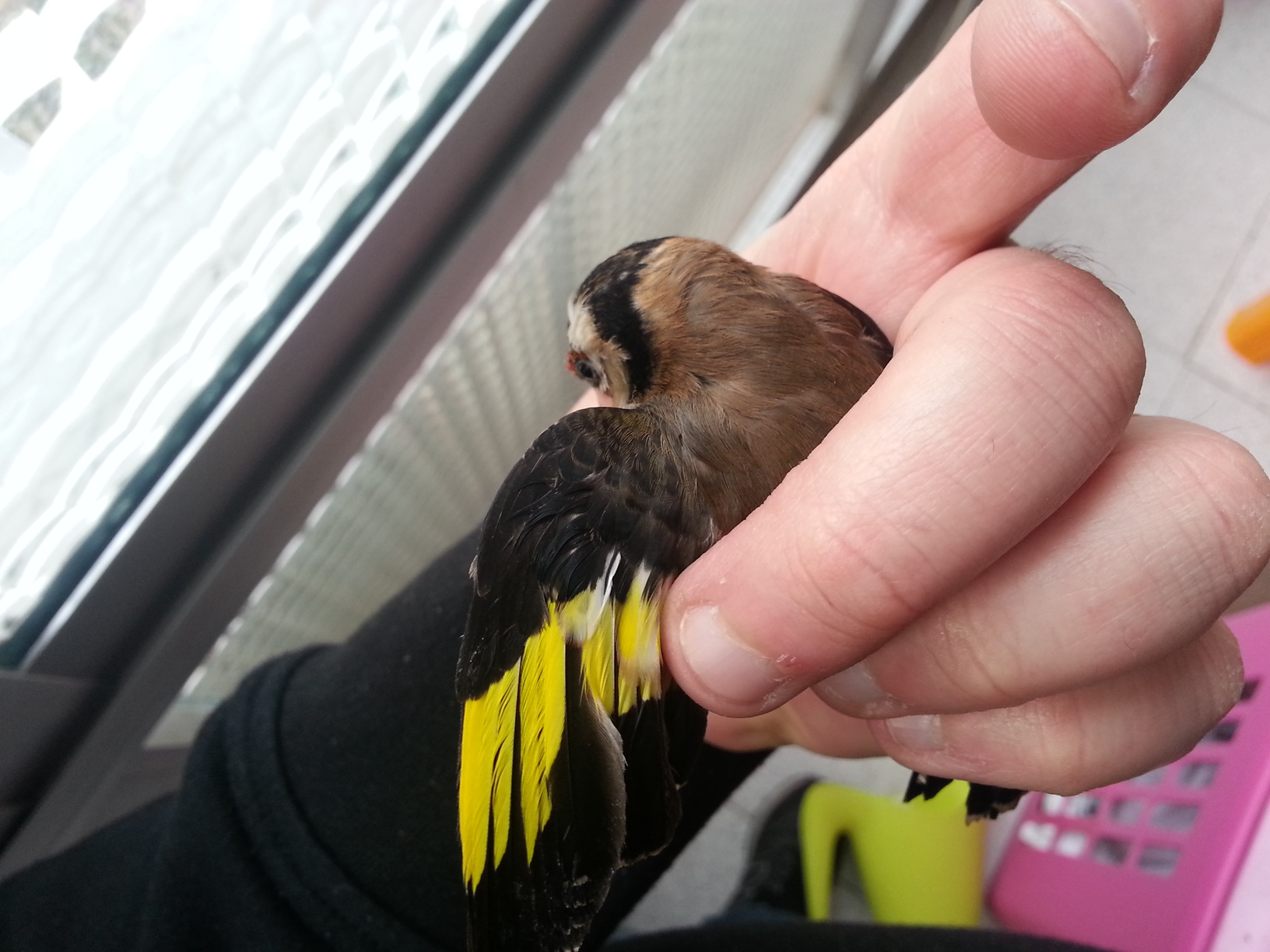 20130218_173557.jpg