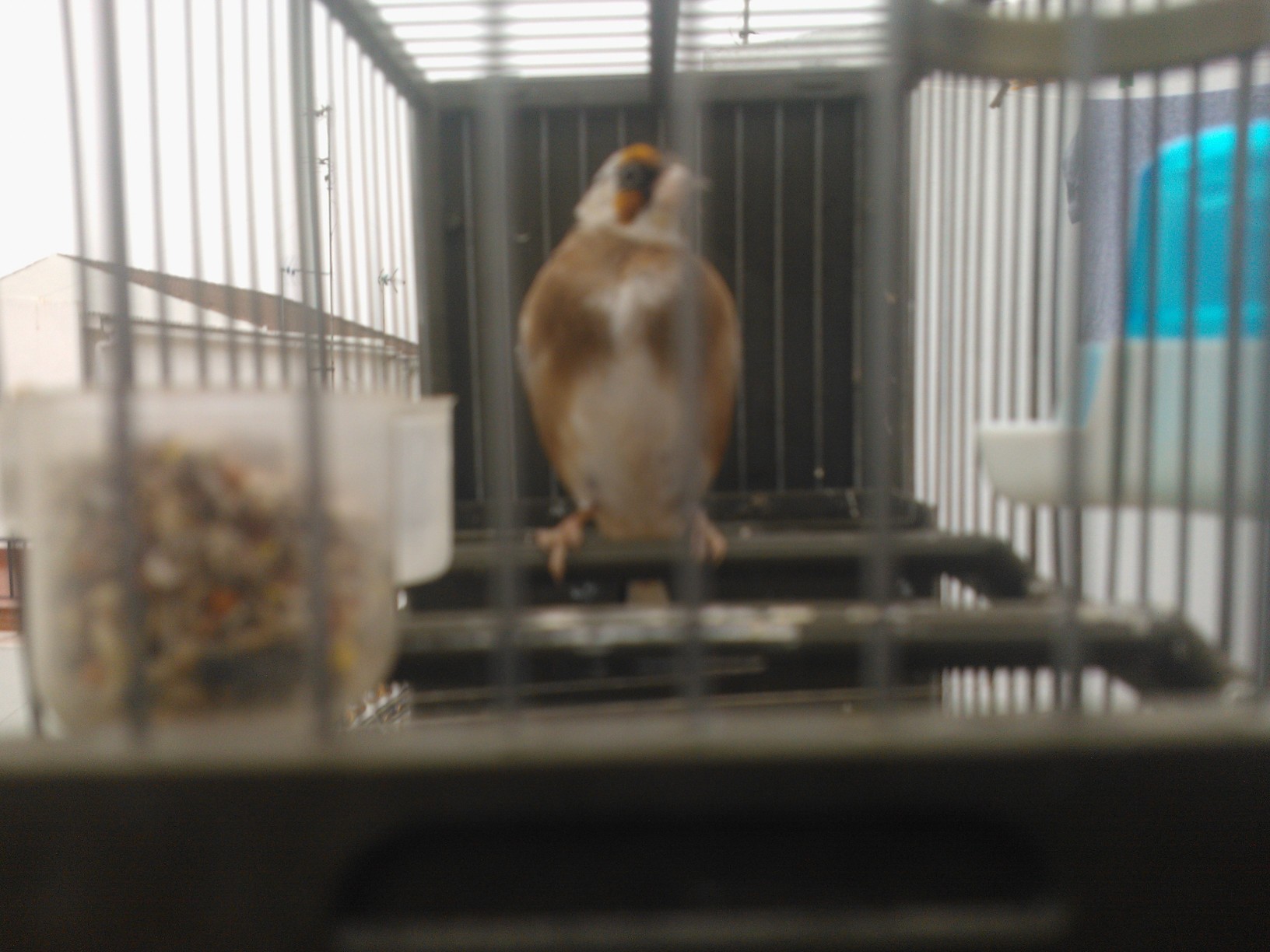 WP_000491.jpg